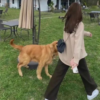女猎手